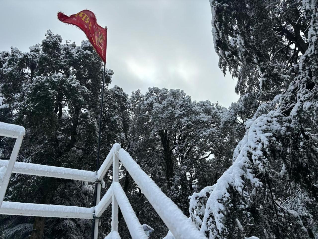 Hotel Jakhu Heights Simlá Kültér fotó